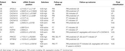 Feasibility of Follow-Up Studies and Reclassification in Spinocerebellar Ataxia Gene Variants of Unknown Significance